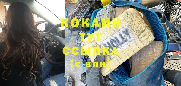 стаф Алексин