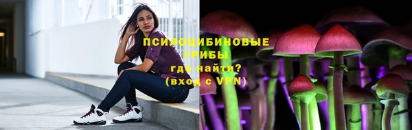 амф Алексеевка