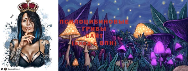 стаф Алексин
