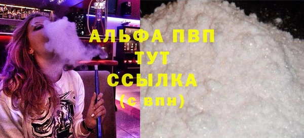 стаф Алексин