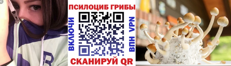 Галлюциногенные грибы Psilocybe  закладка  Бахчисарай 